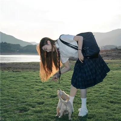 天才宝弟的狗日子